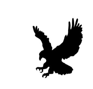 BC eagle