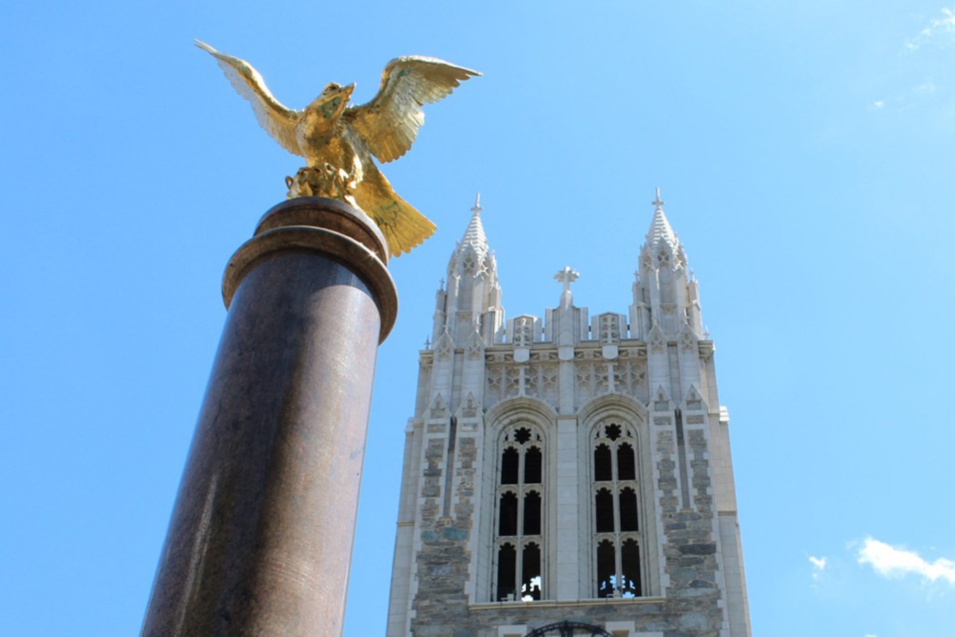Gasson and eagle 1050