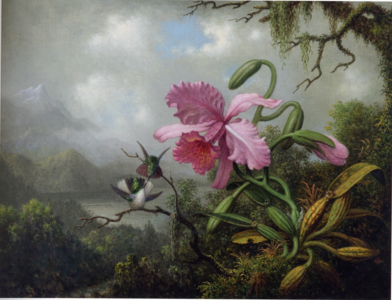Martin Johnson Heade, 'Orchid and Hummingbirds Near a Mountain Lake,' c. 1875–90.