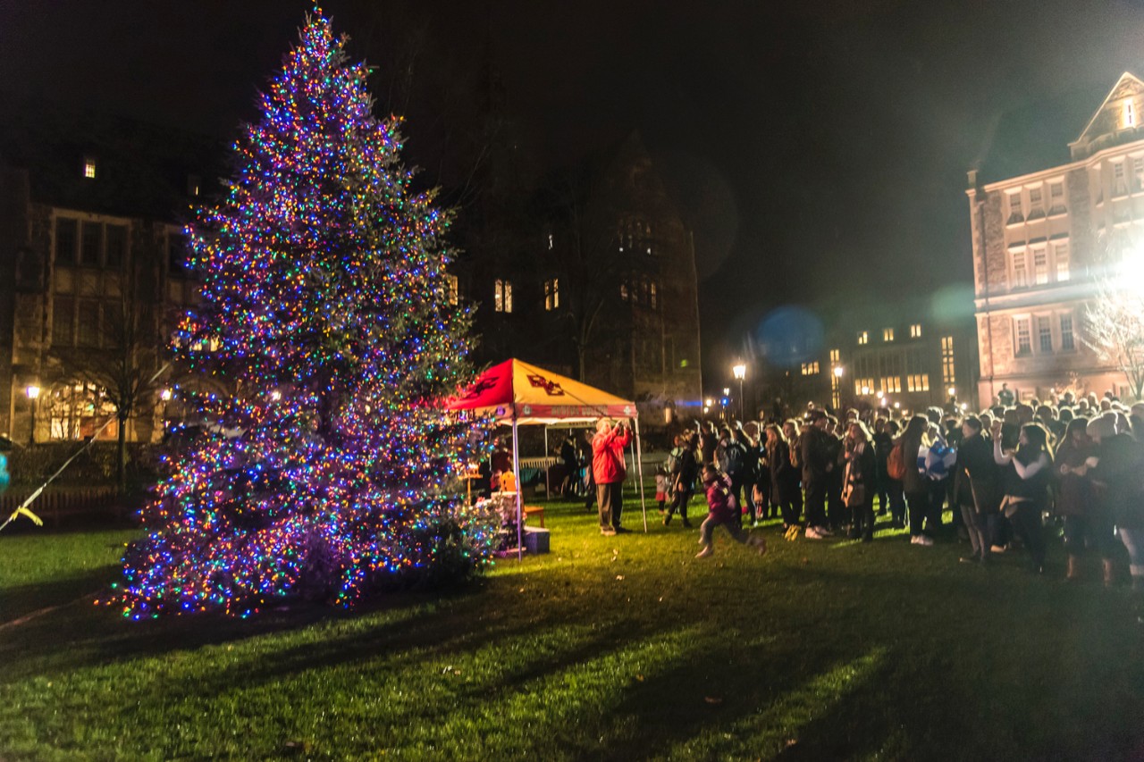 BC Christmas tree lighting 2017. BC Christmas tree lighting 2017.