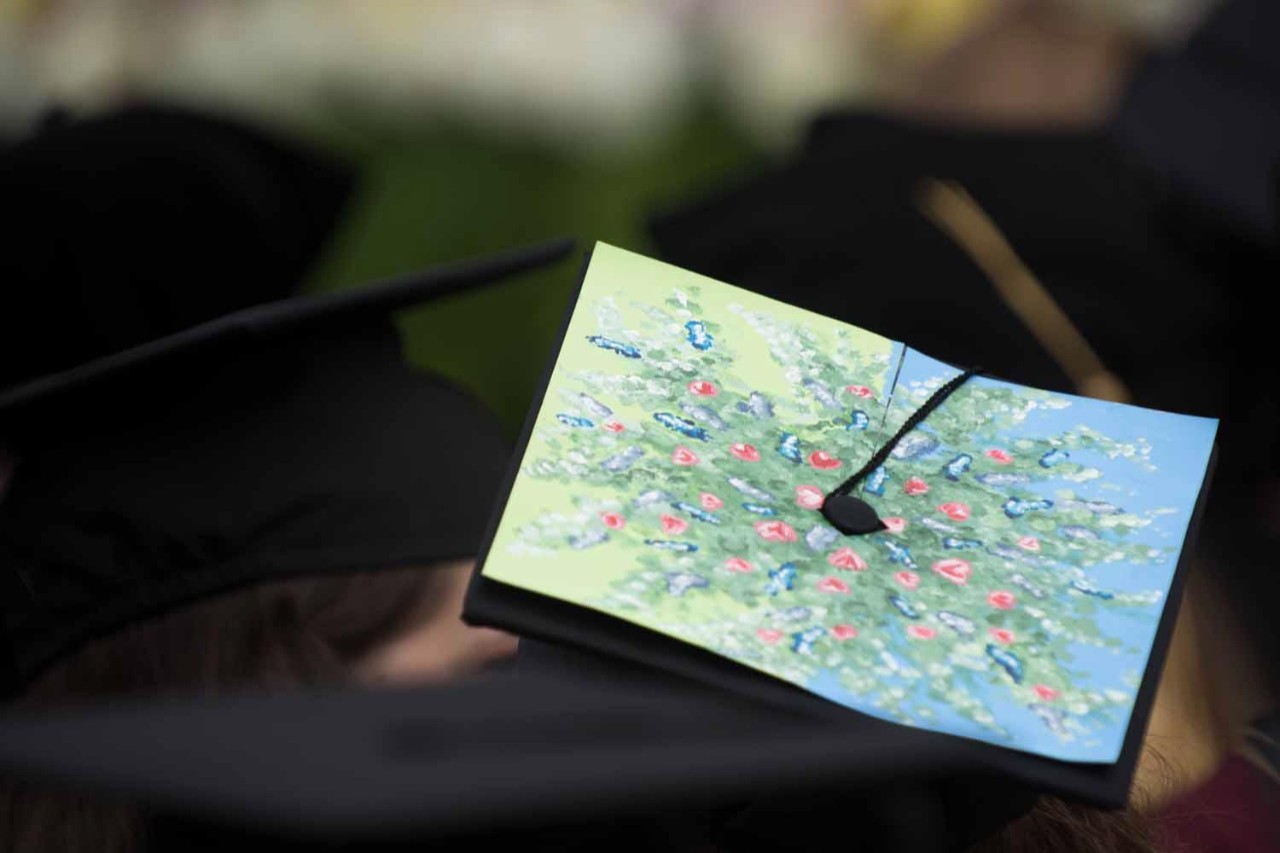 Mortarboard painting