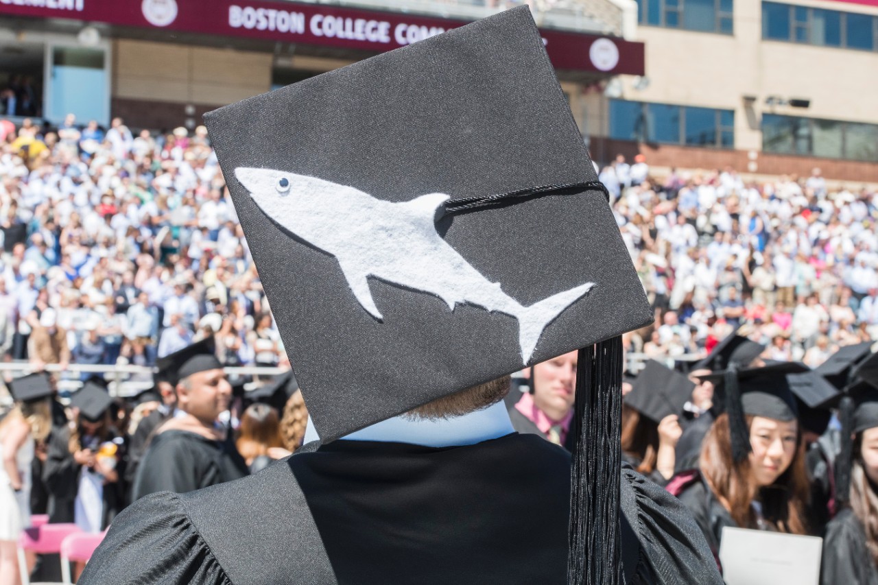 Shark Shark