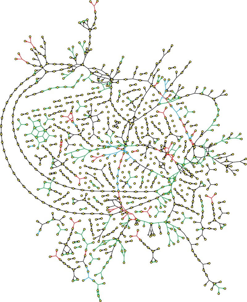Graphic: The first curated, genome-scale metabolic network of the lethal bacterium Streptococcus pneumoniae. Graphic: The first curated, genome-scale metabolic network of the lethal bacterium Streptococcus pneumoniae.