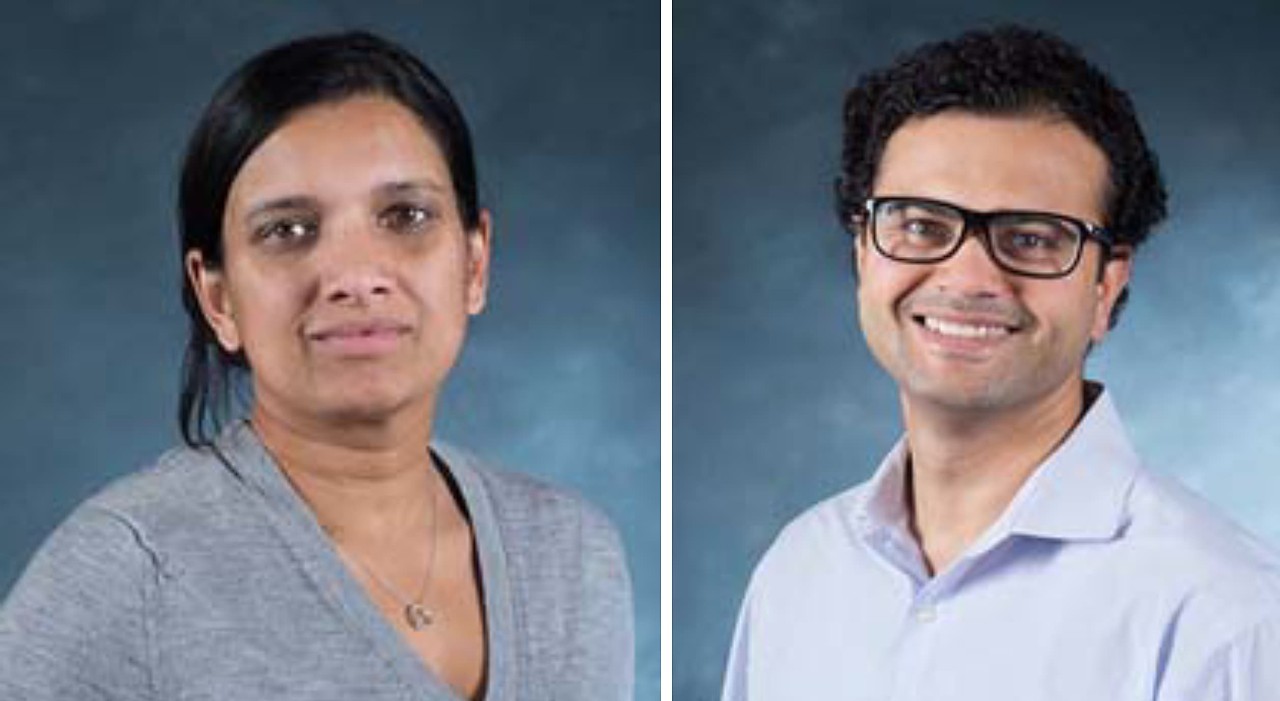 Eranthie Weerapana and Abhishek Chatterjee