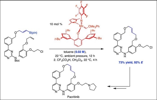 Kinetically E-selective macrocyclic ring-closing metathesis “Kinetically E-selective macrocyclic ring-closing metathesis
