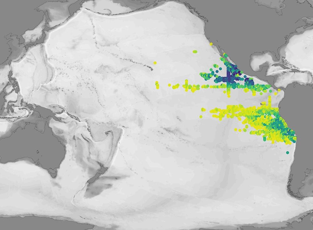 A map indicating the location and thickness of oxygen-deficient water.