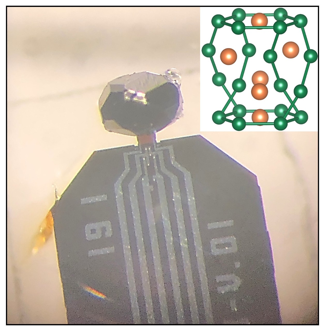 Liquid-like electron flow in a novel metal