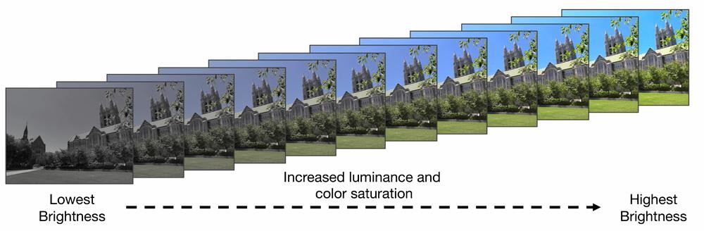 Much like opaque filters we apply to pictures on social media, the vibrancy of our memories dims and fades over time, Boston College researchers report in the journal Psychological Science. The image reflects 12 levels of visual salience, or vibrancy, used to rate how memories fade.