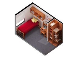 Traditional Single 3D