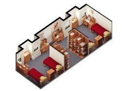 Traditional Quad 3D