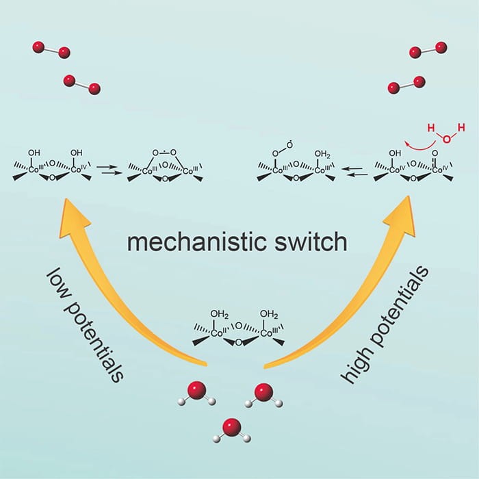 Artificial Photosynthesis