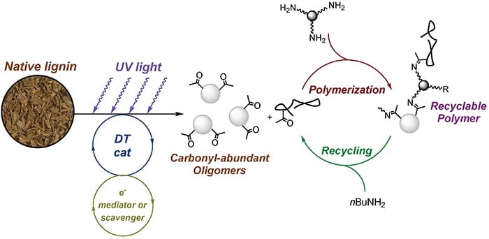 Photocatalytic Lignin Valorization