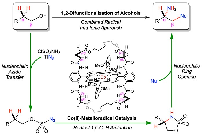 Combined Radical and Ionic Approach for The Enantioselective Synthesis of b-Functionalized Amines from Alcohols