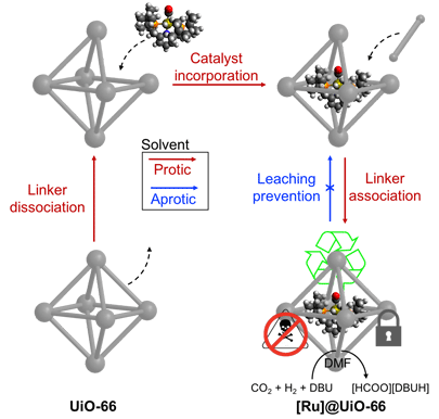 Radical Cascade-Triggered Controlled Ring-Opening Polymerization of Macrocyclic Monomers