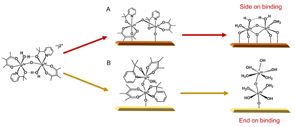 New binding mode of heterogeneous catalysts discovered