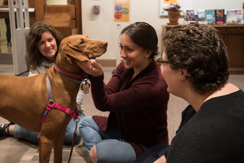 Katie Sclafani, a second-year MSW student.