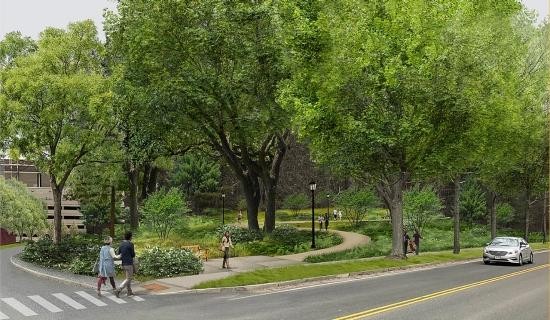 pine tree reserve rendering