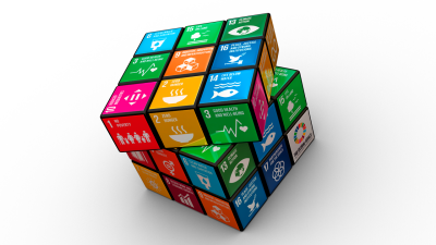 using sdgs in construction