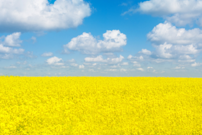 companies respond to war in ukraine