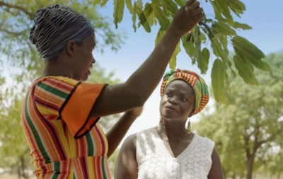 embracing equity international womens day
