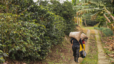 modern slavery in supply chain
