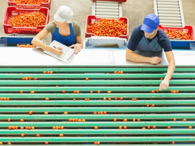 employee-supply-chain-agriculture-495829505