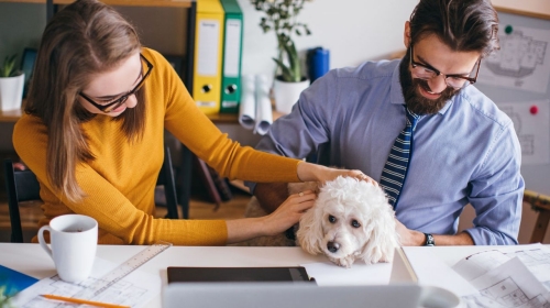 employee mental health - 1