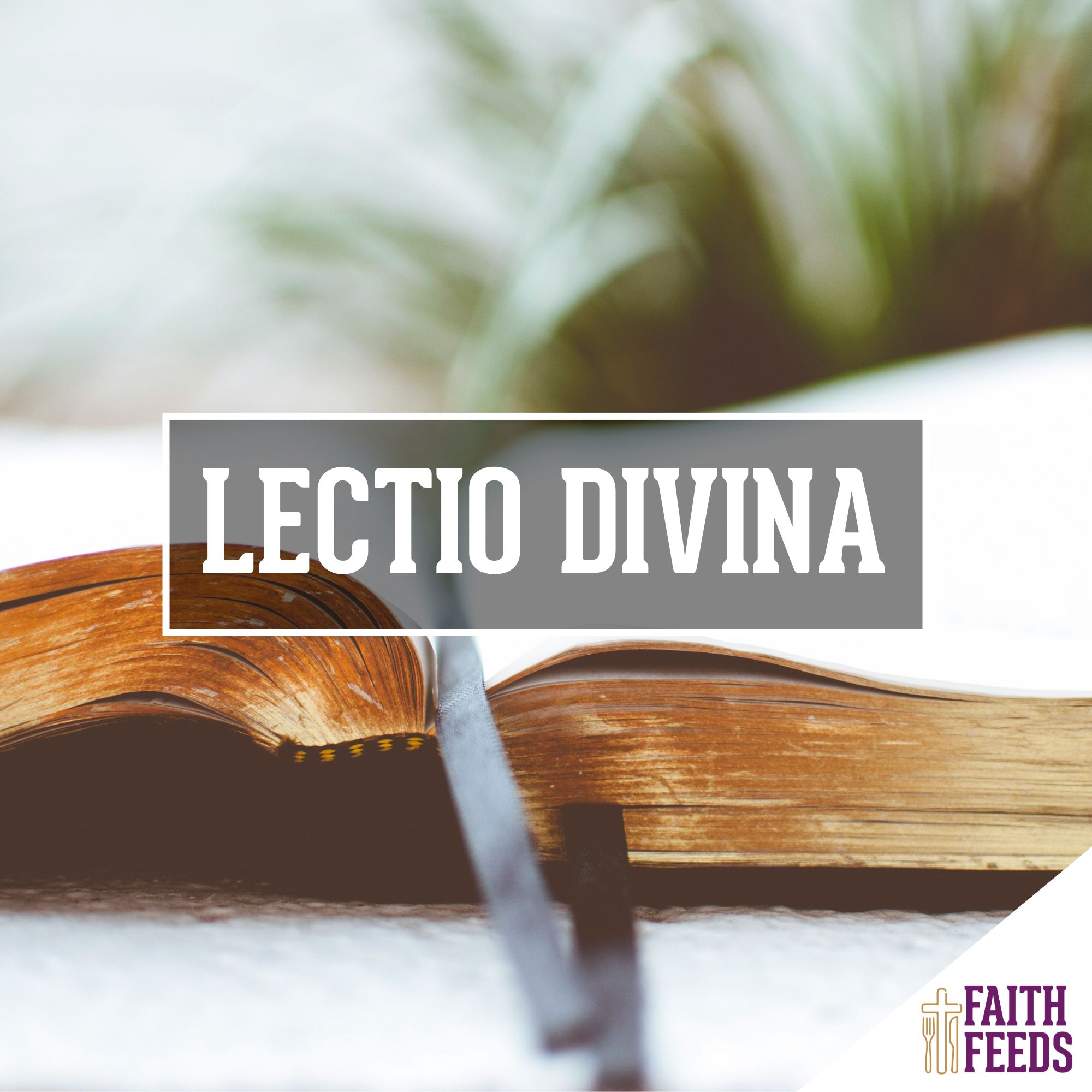 Prayer Resources Article Covers - Prayer Resource - Lection Divina