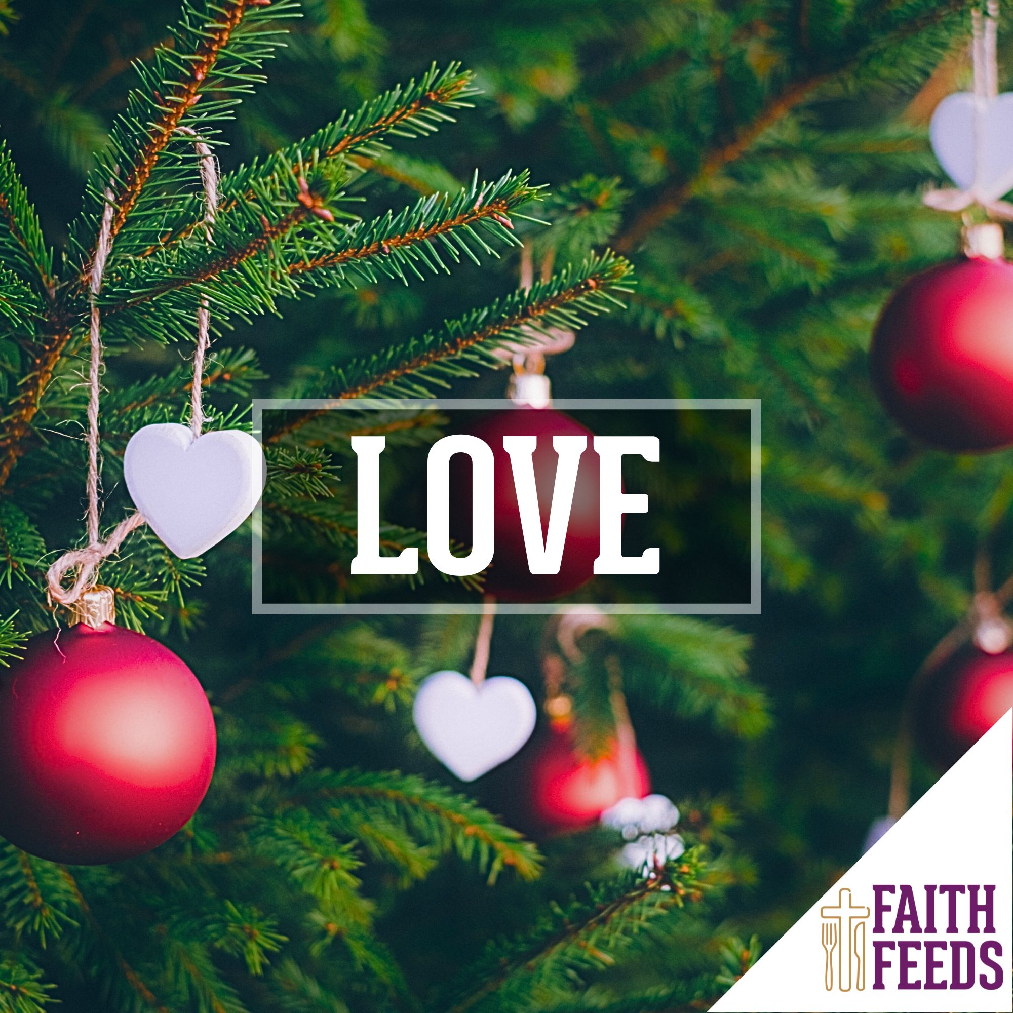 Summer Faith Feeds - Logos - Faith Faith Feeds Logo