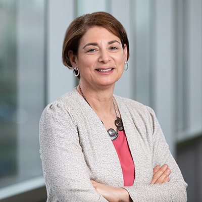 Prof. Laura Steinberg (Earth and Environmental Sciences), Director of the Schiller Institute