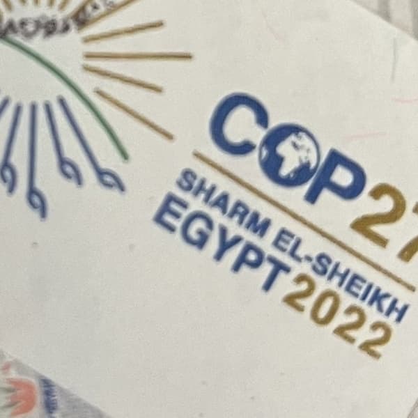 COP 27