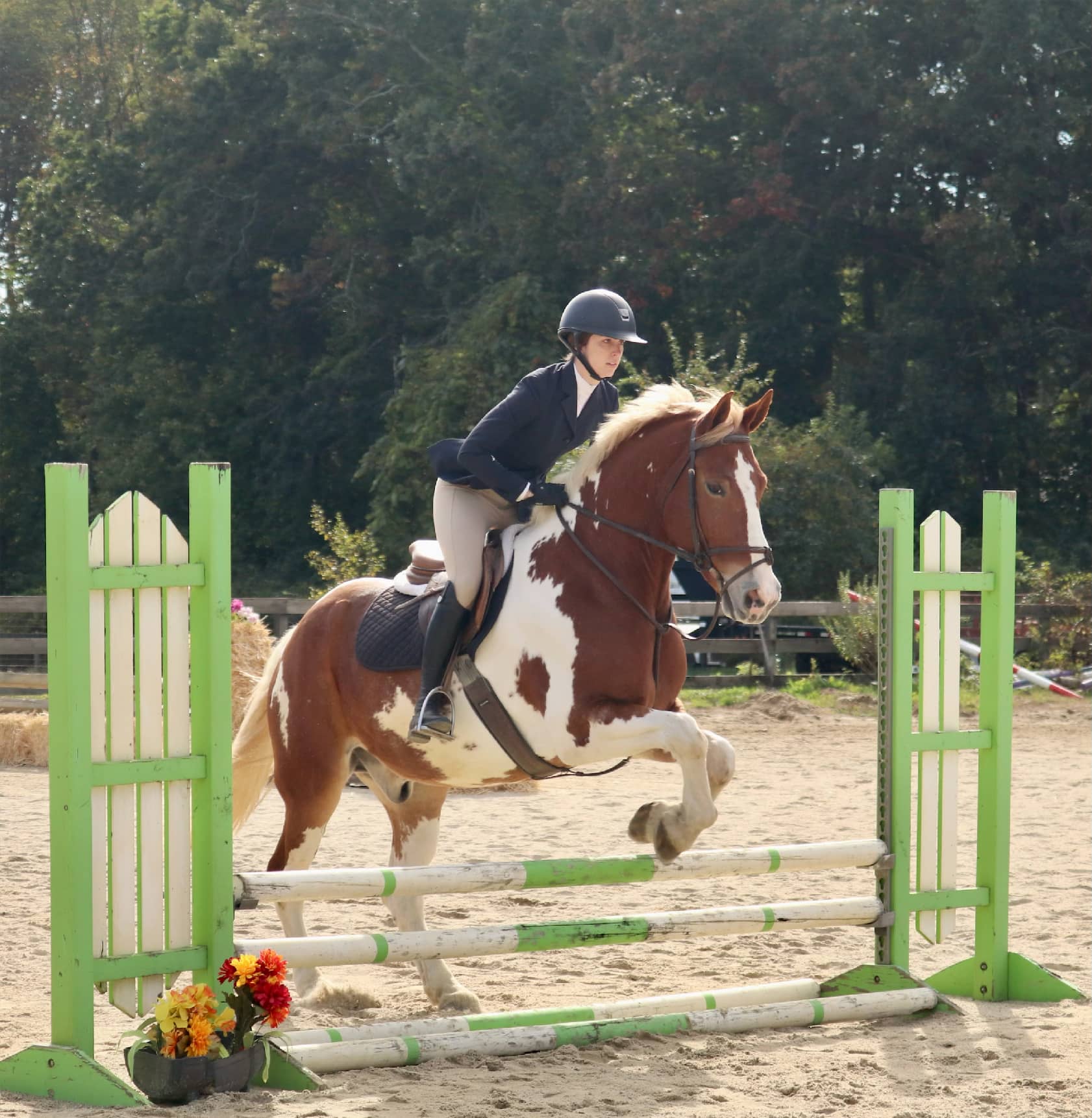 Equestrian Photo Album