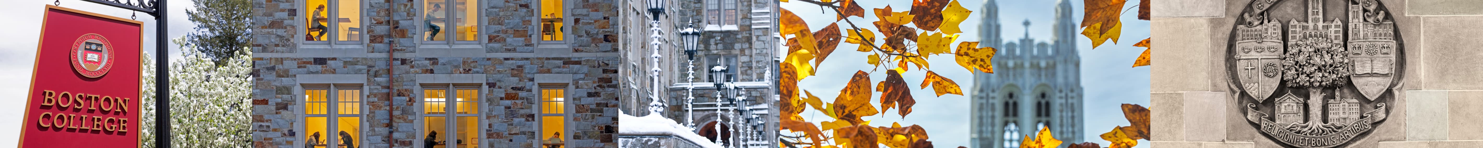 Collage of the seasons