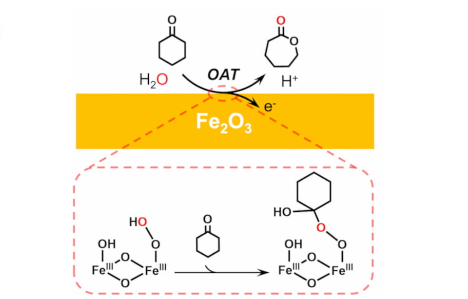 “Clickable Disaccharides” Lead to Efficient Assembly of Glycomimetics