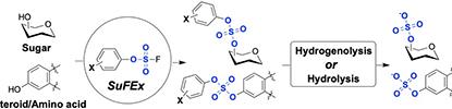 Niu Lab publication