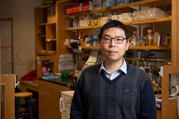 Jia Niu in lab
