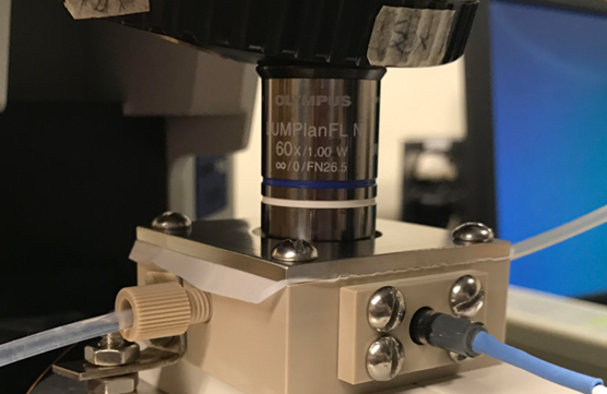 Probing Interfacial Catalysis