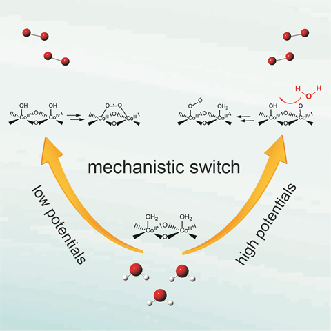 CoOxideWater_Chem_2021.png CoOxideWater_Chem_2021.png