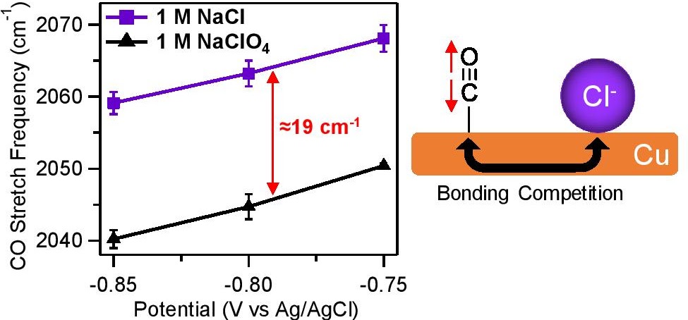 ElectrolyteAnions_JPCC_2020.jpeg ElectrolyteAnions_JPCC_2020.jpeg