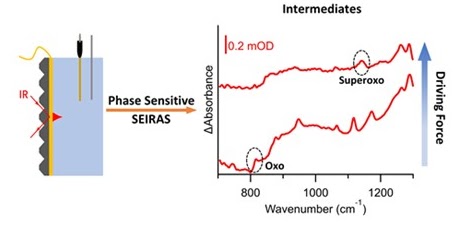 IrDimer_JACS_2023.jpeg IrDimer_JACS_2023.jpeg