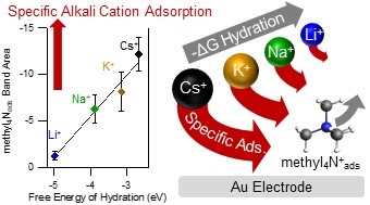 TMA_Alkali_NatCatal_2022.jpeg TMA_Alkali_NatCatal_2022.jpeg