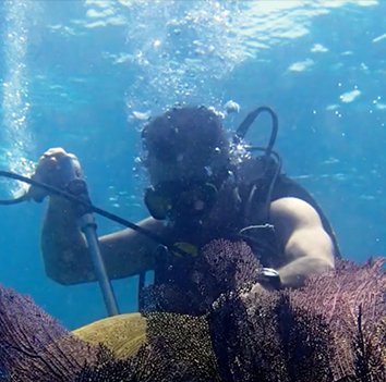 Student in ocean