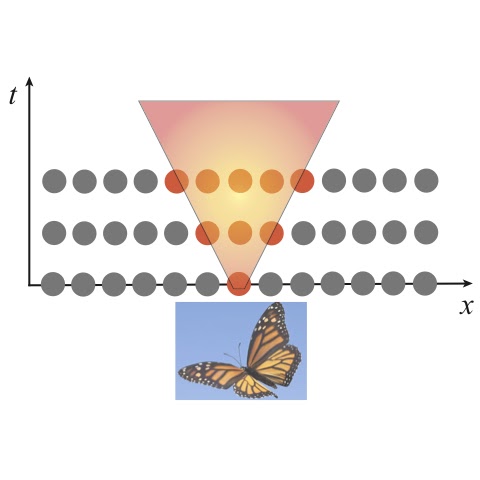 Quantum Information Dynamics