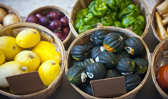 Last Farmer's Market of the 2011 growing season held in Corcoran Commons Dining Room. The event is organized by Dining Services to provide students and others the opportunity to buy locally grown produce. Photographed for the 10/20/11 issue of Chronicle.