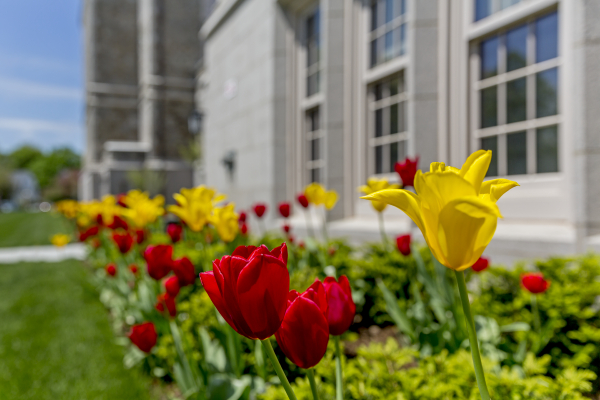 Spring on main campus, May 14, 2014. Photographed for general OMC use.